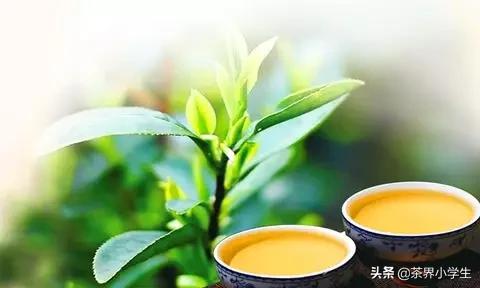 过去6个月,淘系电商平台什么茶卖的好?疫情影响大吗?
