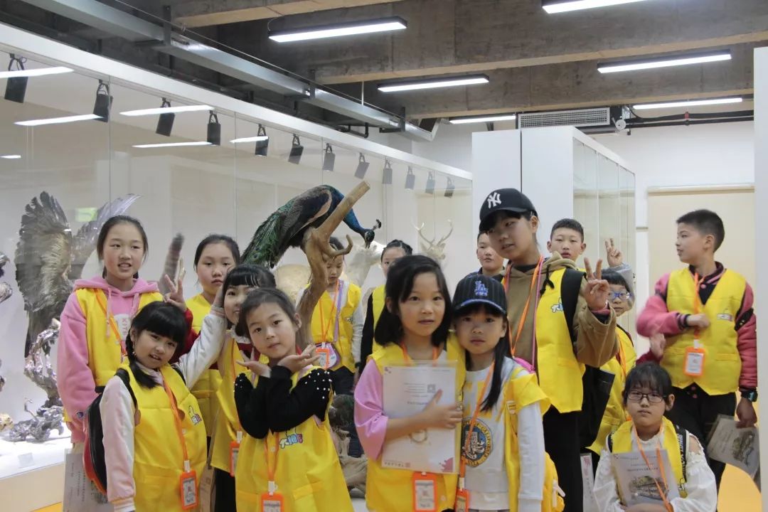 专业美院美术培训学校,高端美术特长生培训学校