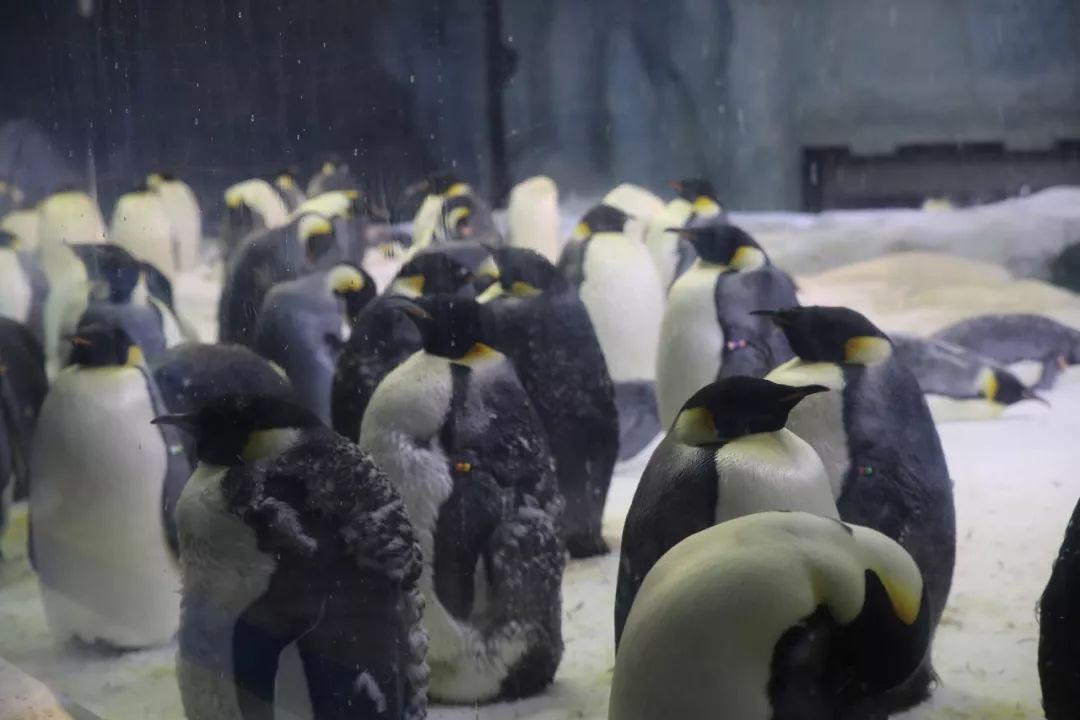 珠海哪里最值得去旅游,珠海哪里旅游比较值得去