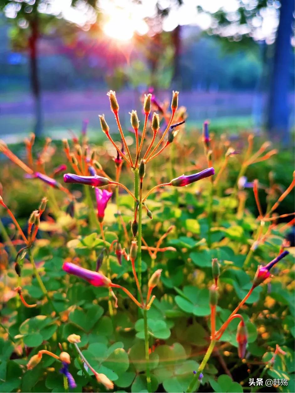 出游不必远行,出游不再烦恼