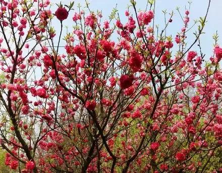 江西抚州最近的消息,抚州市最新消息今天