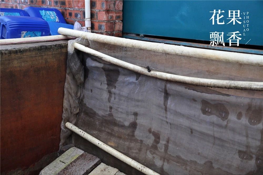 种地真的不容易一分耕耘一分收获,种地真的不容易钱难挣