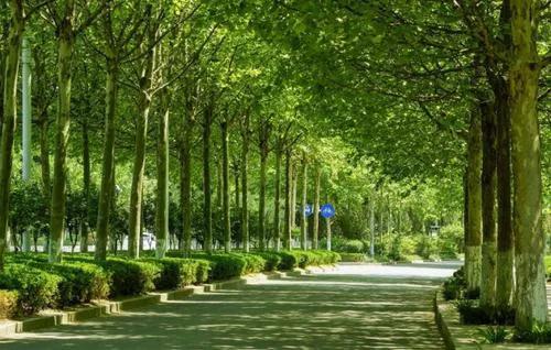 郑州一座城的中心,郑州是一个什么样子的地方