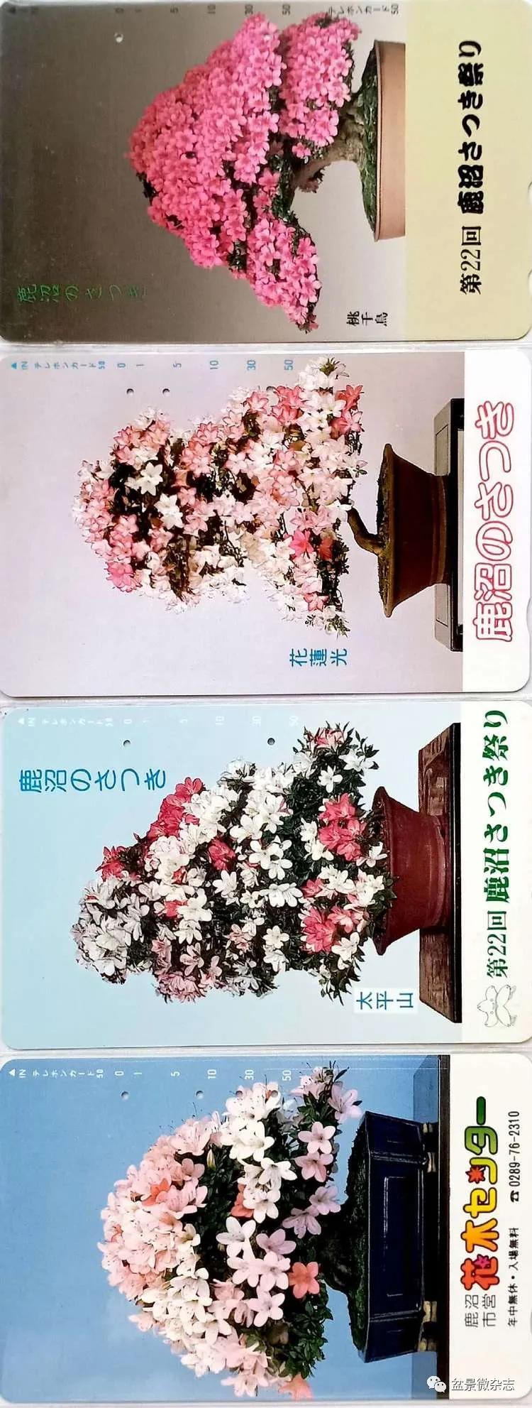 鐩嗘櫙鑱旂郴鐢佃瘽,鐩嗘櫙鑱旂郴鐢佃瘽鍙风爜