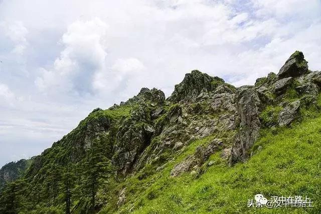 探秘汉中,汉中一村子窜入野生羚牛