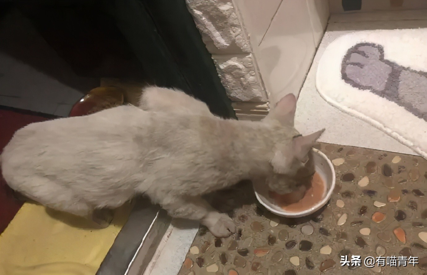 24岁男子喜当爹去派出所,90后男子相亲被误当爹