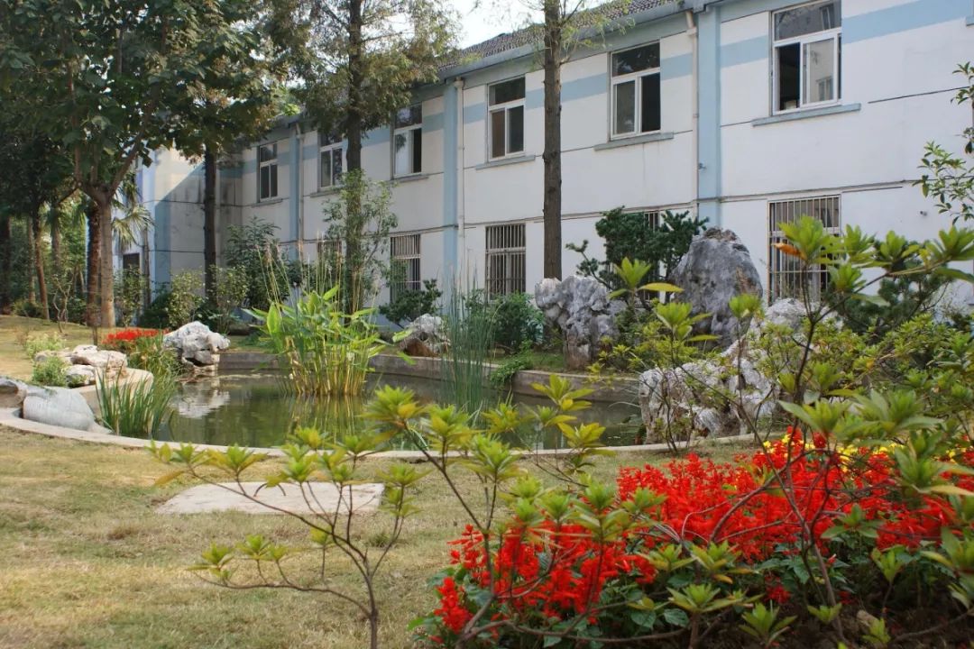 南京第六十六中学中考,南京市第六十六中学2018