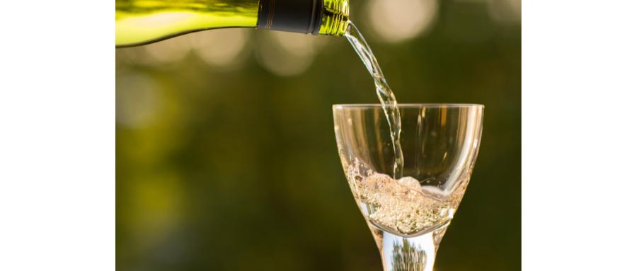 陪酒女陪酒身亡赔偿,陪酒的女孩违法吗