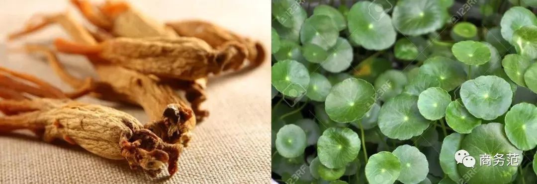 小众贵妇清爽抗衰老护肤品,法国护肤品抗衰老