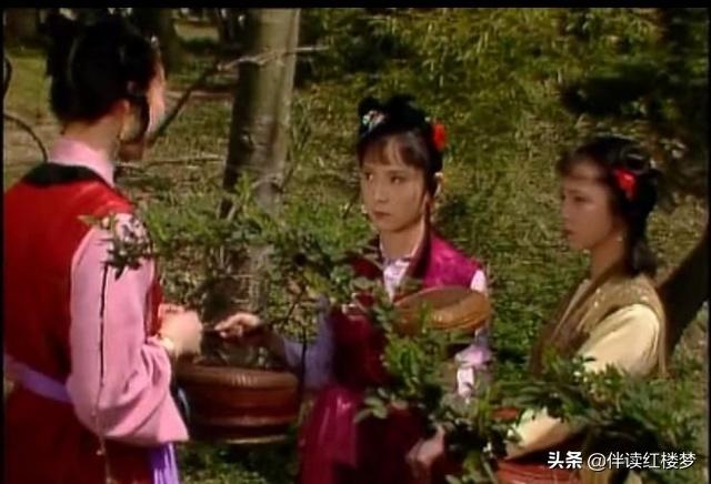 细读红楼梦第三十回宝钗之怒,红楼梦二十七回宝钗扑蝶