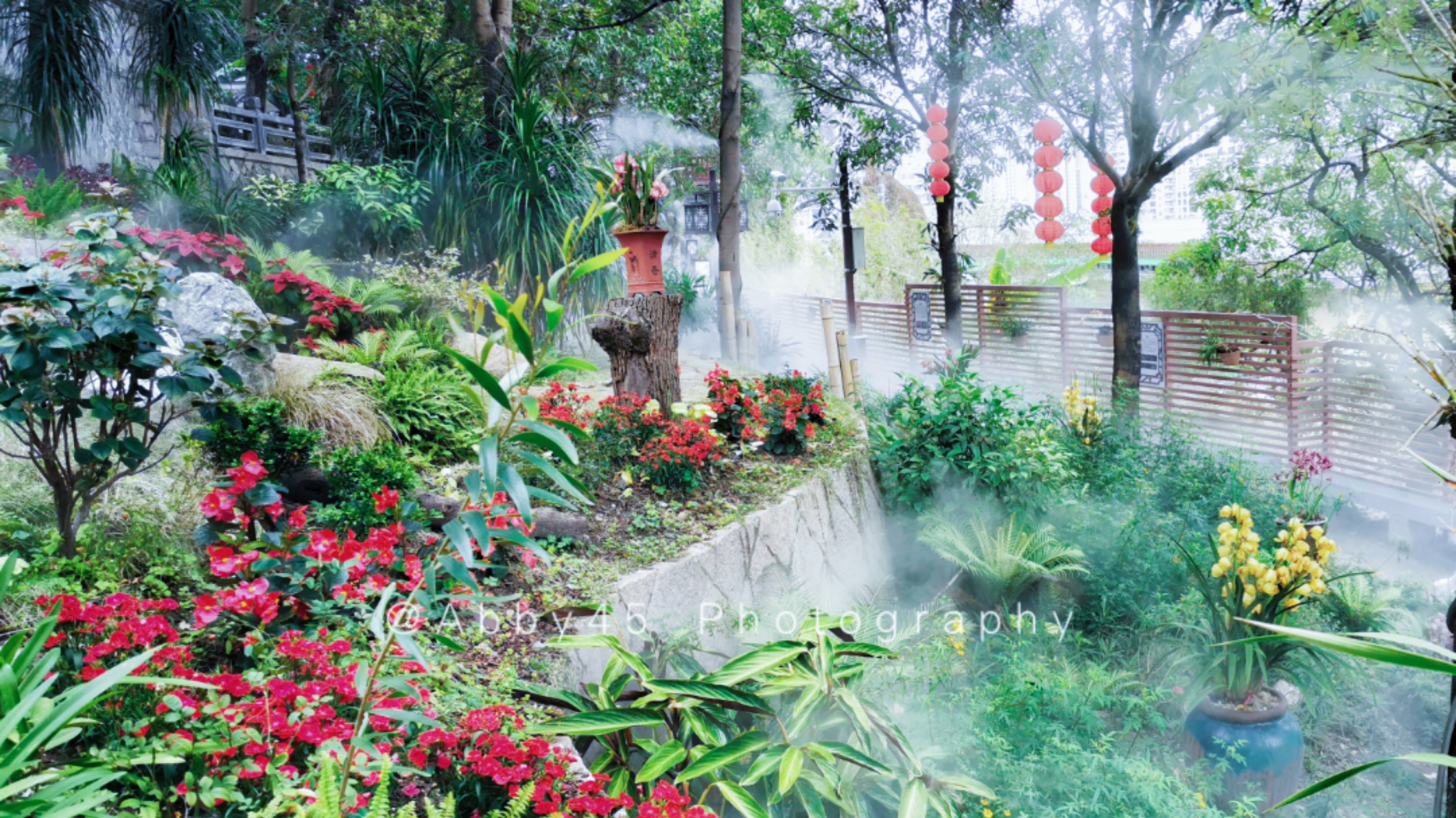 国内十大兰圃之一在福州,莫负好*光春**,免费尽享兰花的春之盛宴