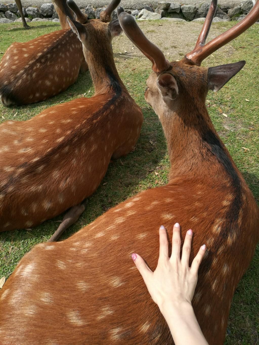 不一样的体验完整版,不一样的体验小说后续