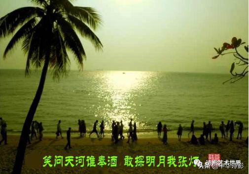 中华诗影大课堂,中华诗影艺术