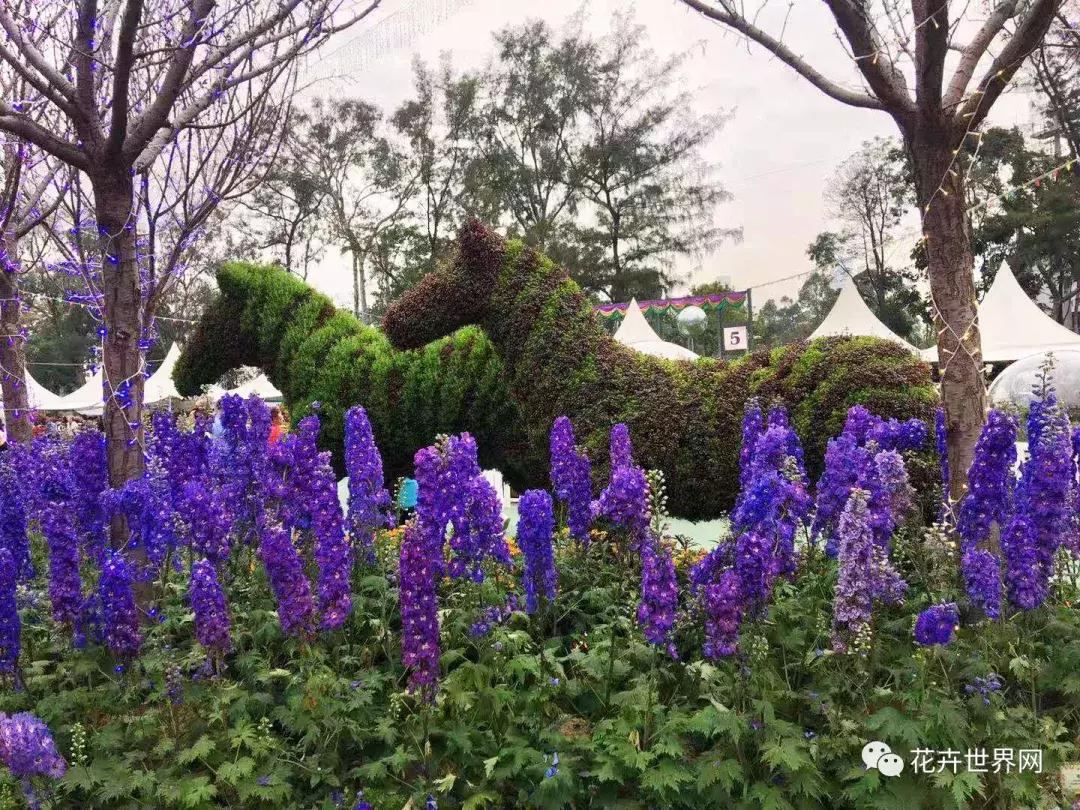 共赴盛会活动,香港国际花卉展