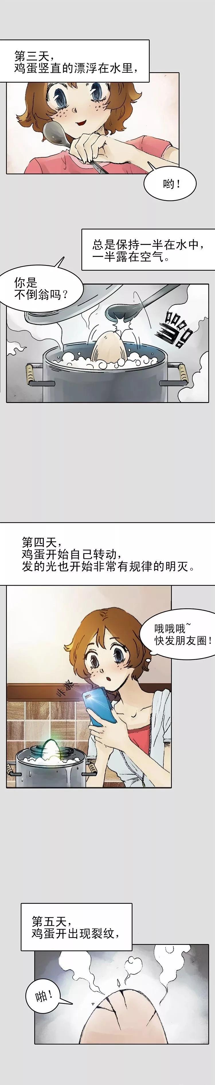 漫画鸡蛋,鸡蛋的漫画