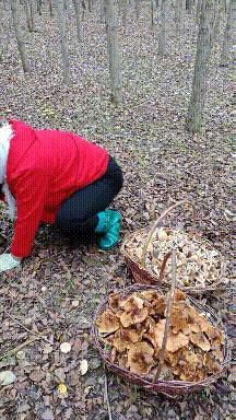 搞笑gif开心一刻这才是真正的赢家,开心一刻gif笑死人