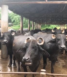 可爱搞笑图片可直接保存,搞笑图片现在的年轻妹纸真会玩啊