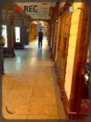 搞笑gif开心一刻单身也挺好,搞笑gif开心视频