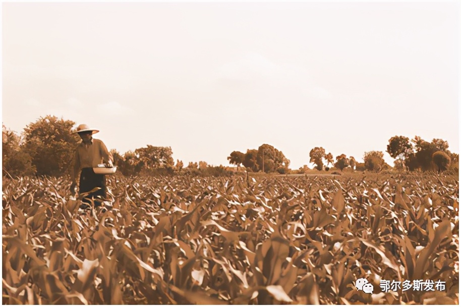 40年翻天覆地的巨变,深圳巨变40年