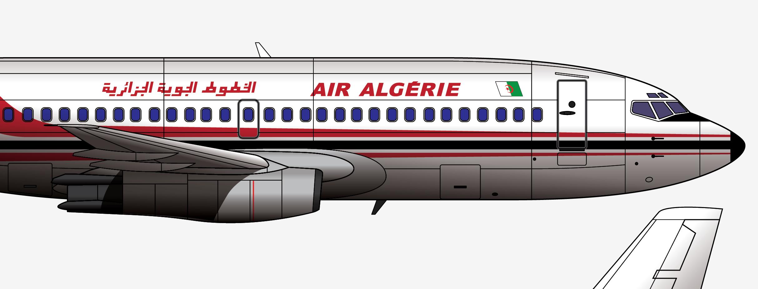 各自为阵，忆阿尔及利亚航空AH6289航班2003.3.6塔曼拉斯塞特空难
