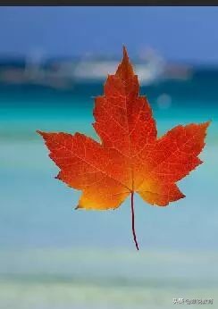 ps制作打散效果教程图,ps怎么做出人物打散的粒子效果