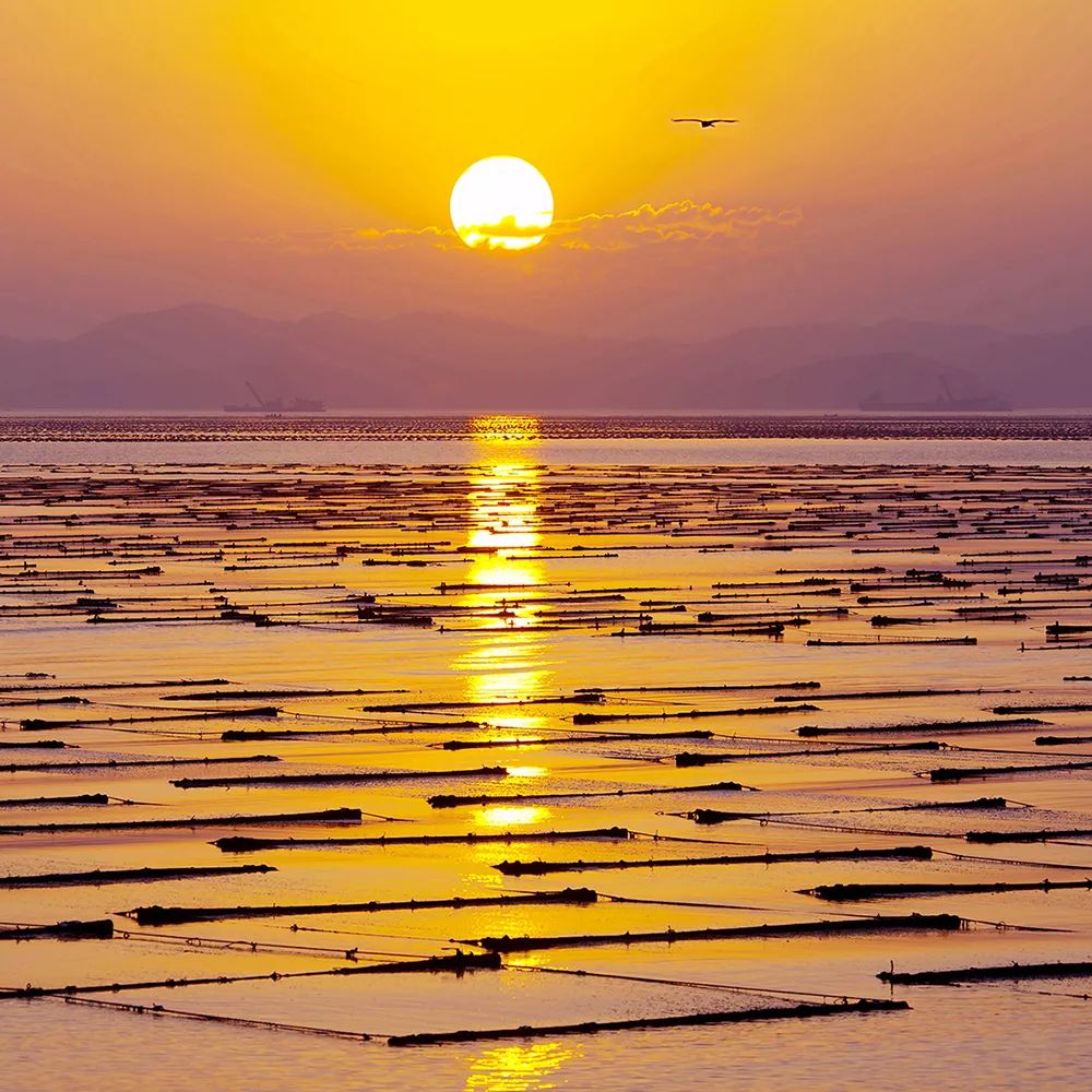 平潭即留下轻奢海景民宿多少钱,平潭有多少家民宿