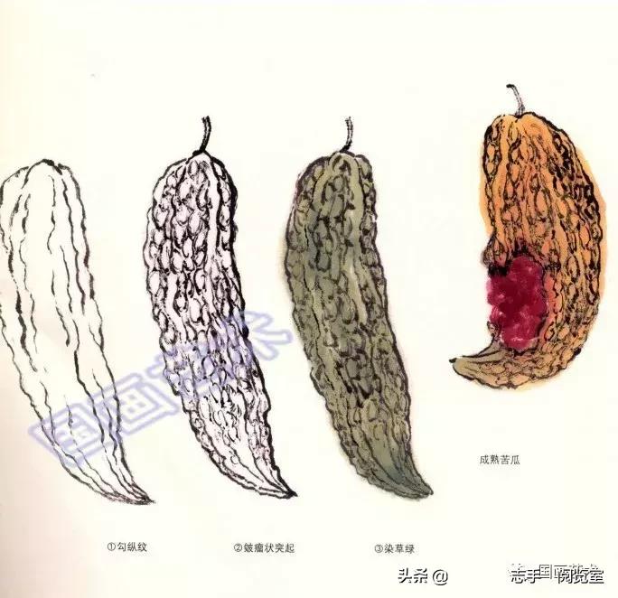 八种常见蔬菜画法,各种蔬菜画法