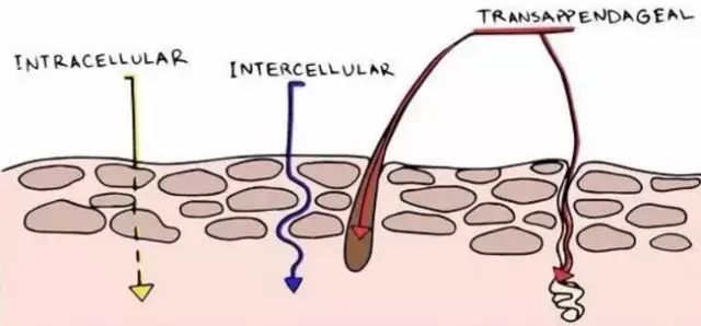 孕期护肤推荐,孕期护肤雅姿