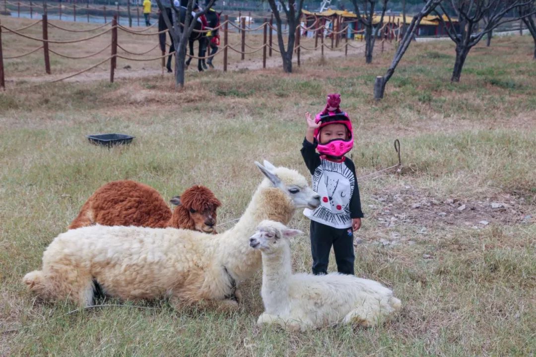 良安祥和庄园,古城祥和庄园