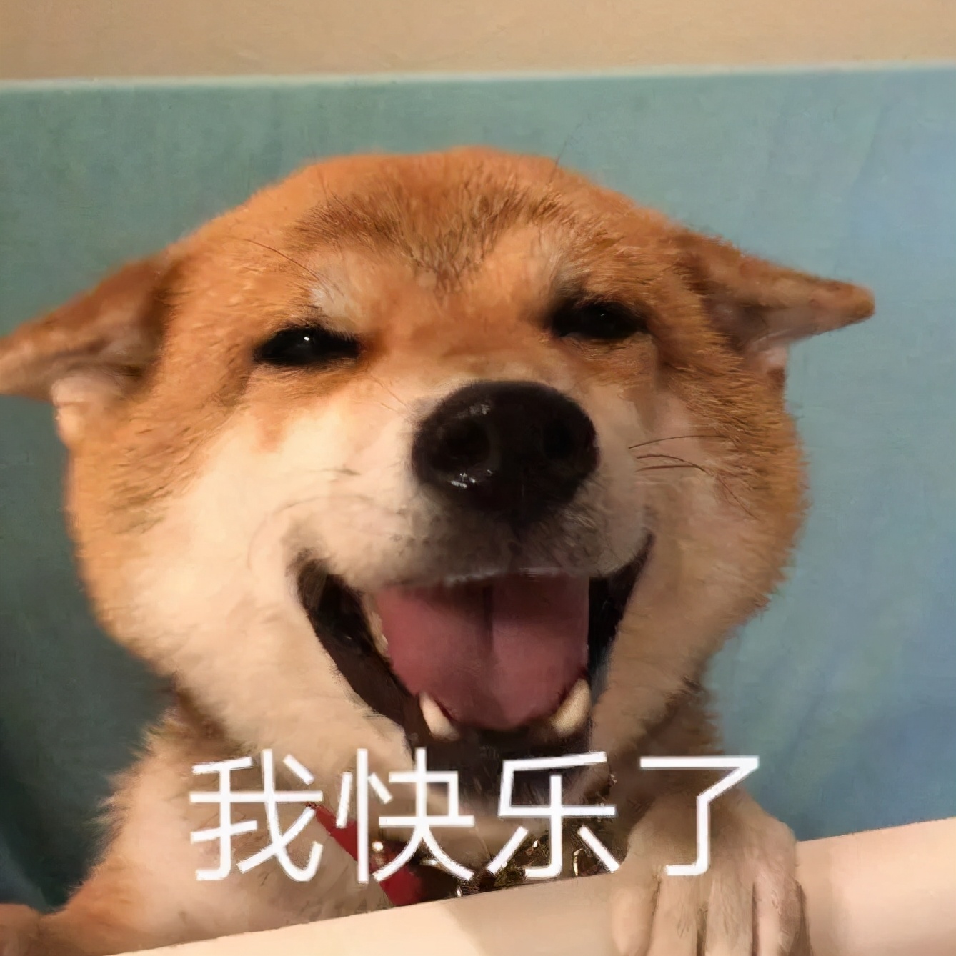 各种好吃的国货,那些包装很土但很好吃的国货