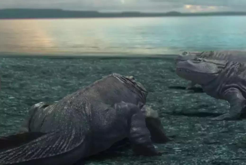 观赏鱼换水要不要加盐是食用盐吗,哪些观赏鱼不能使用杀菌盐