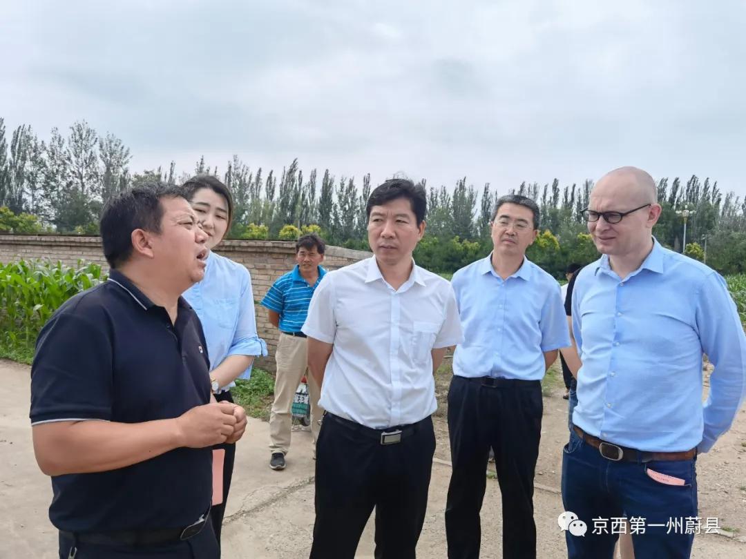 荷兰农业项目考察组来蔚县考察