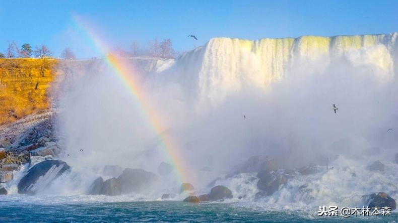 加拿大多伦多生活日记,加拿大多伦多留学生活纪实