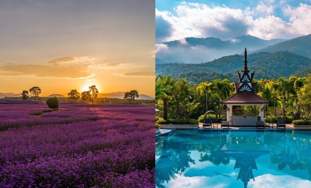 买一家酒店是一种什么样的体验,买房子一家人住3居好还是4居好