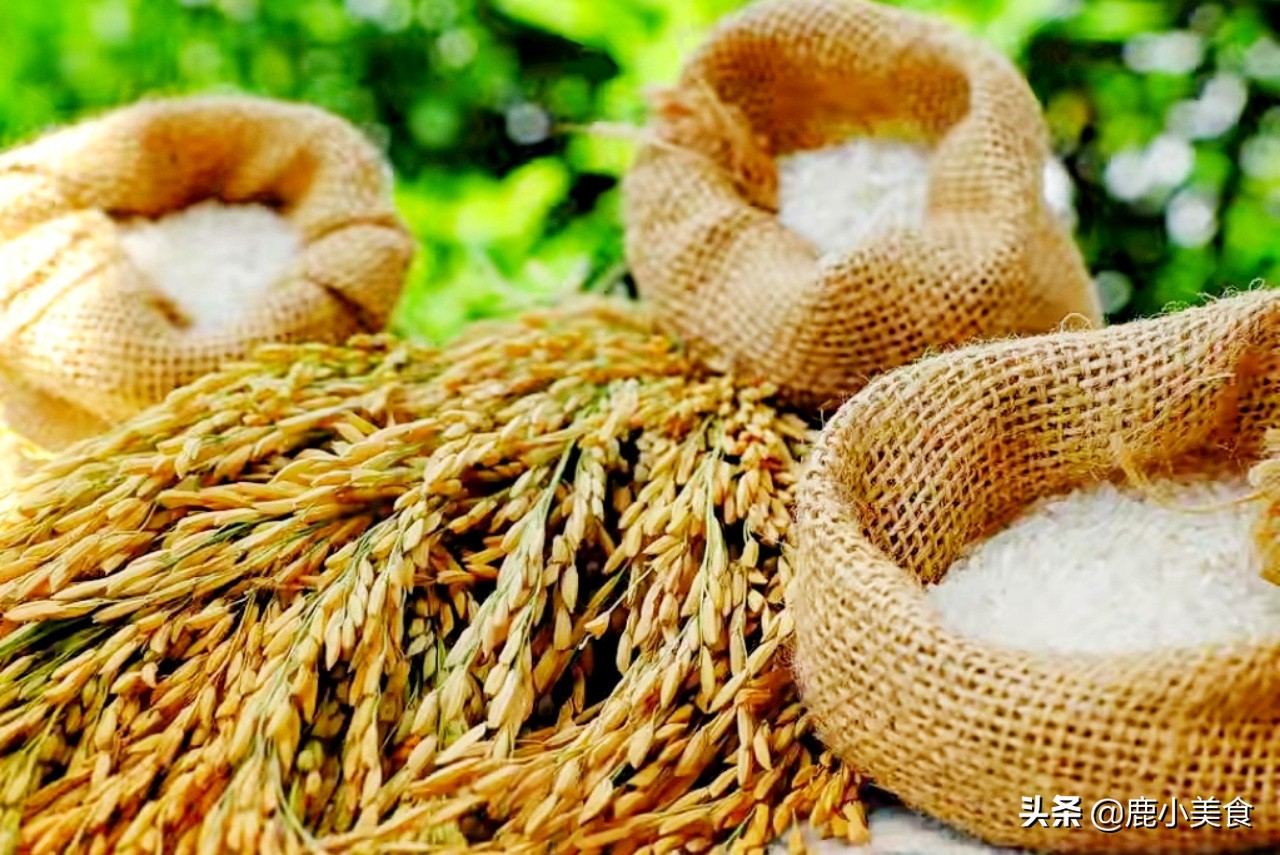 大米有虫子了怎样驱虫,放一年大米不会生虫的小妙招