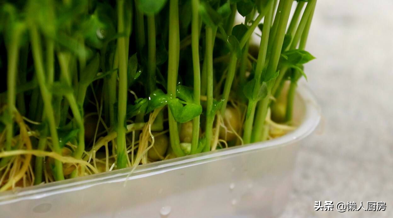 好吃的清炒豌豆苗,豌豆苗的各种做法