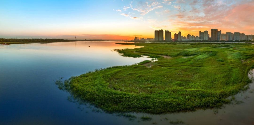 孙名齐：哈尔滨，一座年轻但绝不青涩的浪漫都市