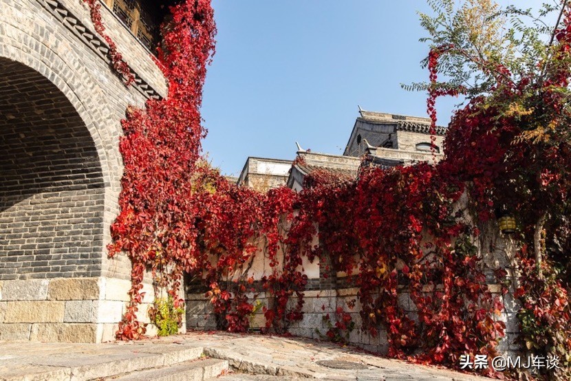 不想出门看人山人海只想在家,不想看千篇一律的风景
