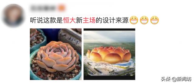 恒大十万人专业足球场引争议,恒大足球场最新爆料