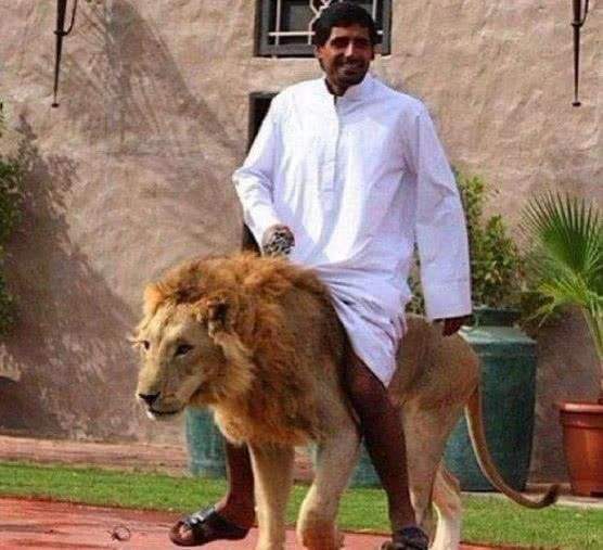 阿联酋人口gdp,阿联酋gdp总量排名