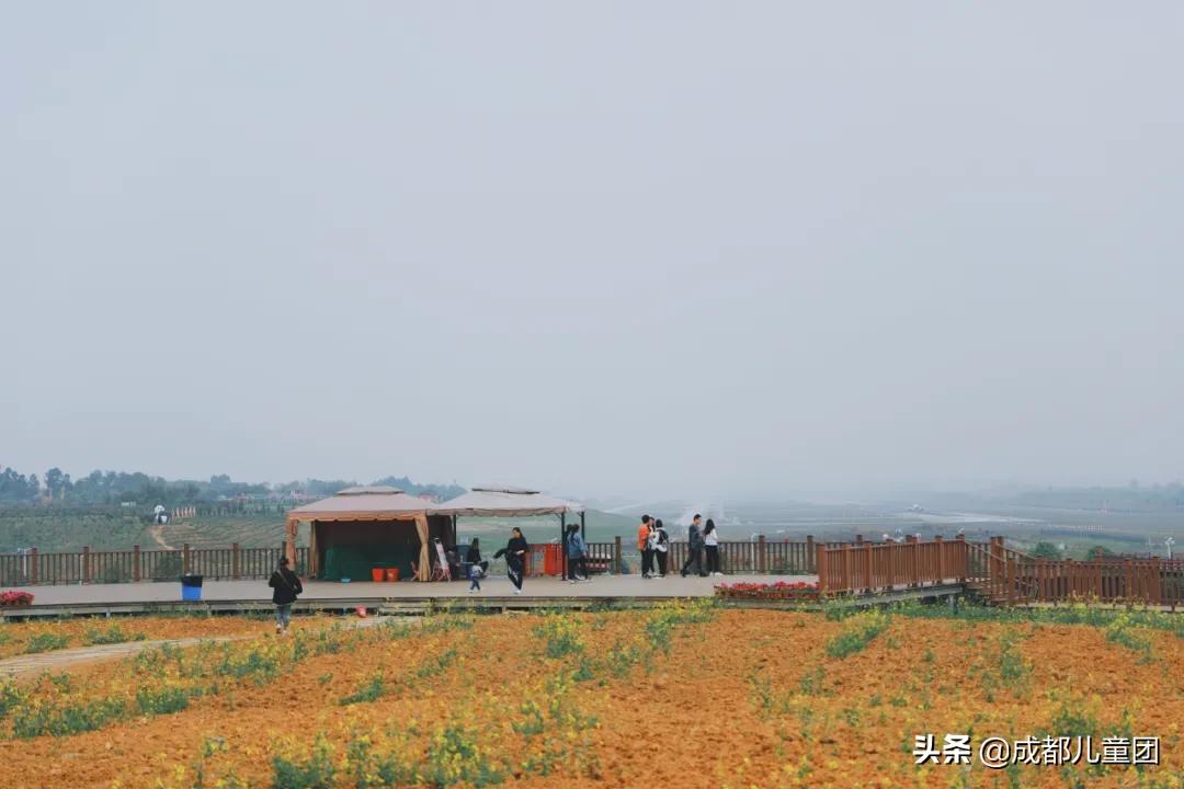 空港花田和空港体育公园哪个好,空港运动公园看飞机攻略