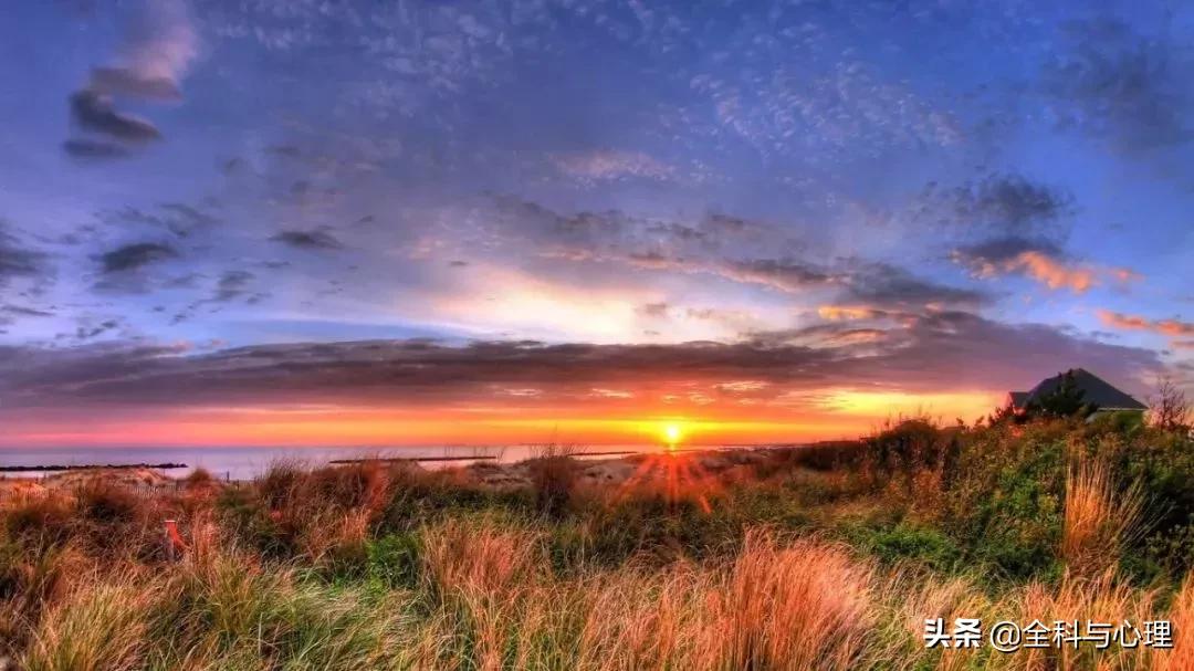 神奇的种子法则全集,神奇的种子的主要内容