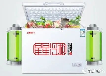 什么情况下需要买个小冷柜,买冷柜是一件很重要的事情