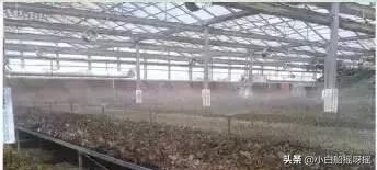 国家对光伏农光互补的政策,友阳光伏