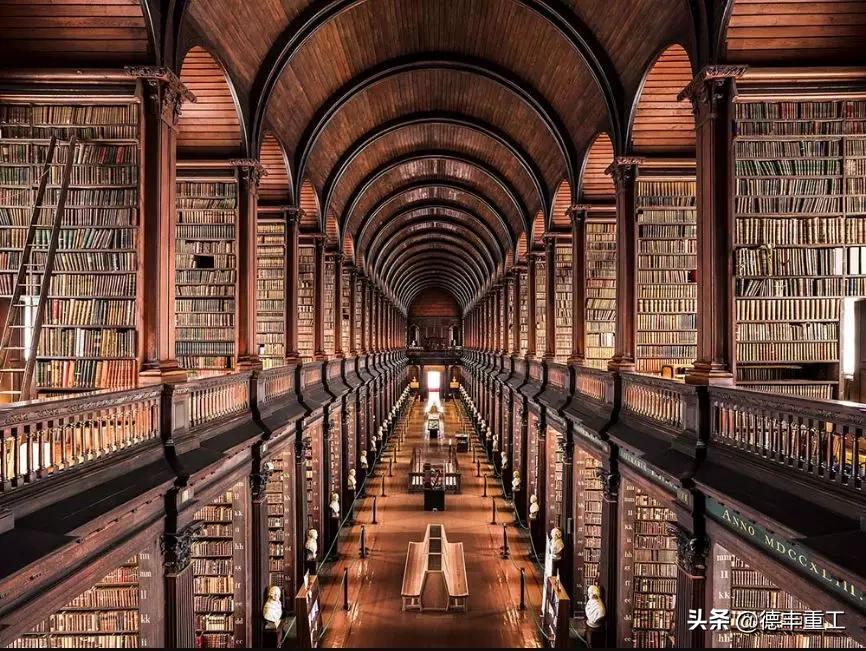 全球美到窒息的白天鹅和山水风景,全世界惊艳的图书馆