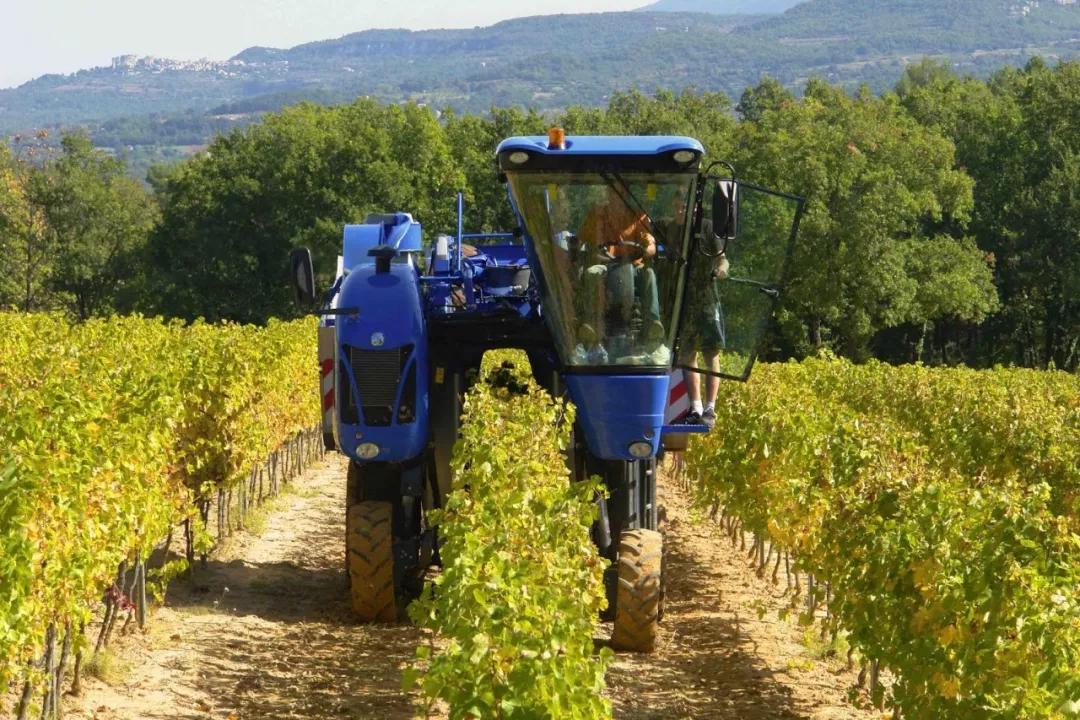 法国干红葡萄酒酿造过程,葡萄酒酿造过程