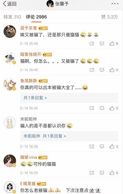 张馨予为什么可以当军嫂,张馨予为什么会成军嫂