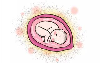 高血压补充叶酸过量有什么后果,每天补充叶酸0.8毫克算过量吗