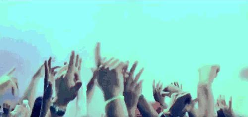 黑狮啤酒官方旗舰店,黑狮啤酒体验馆