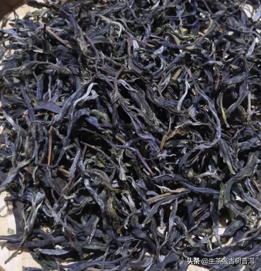 普洱茶从采摘到制作全过程,普洱生茶的制作工艺流程